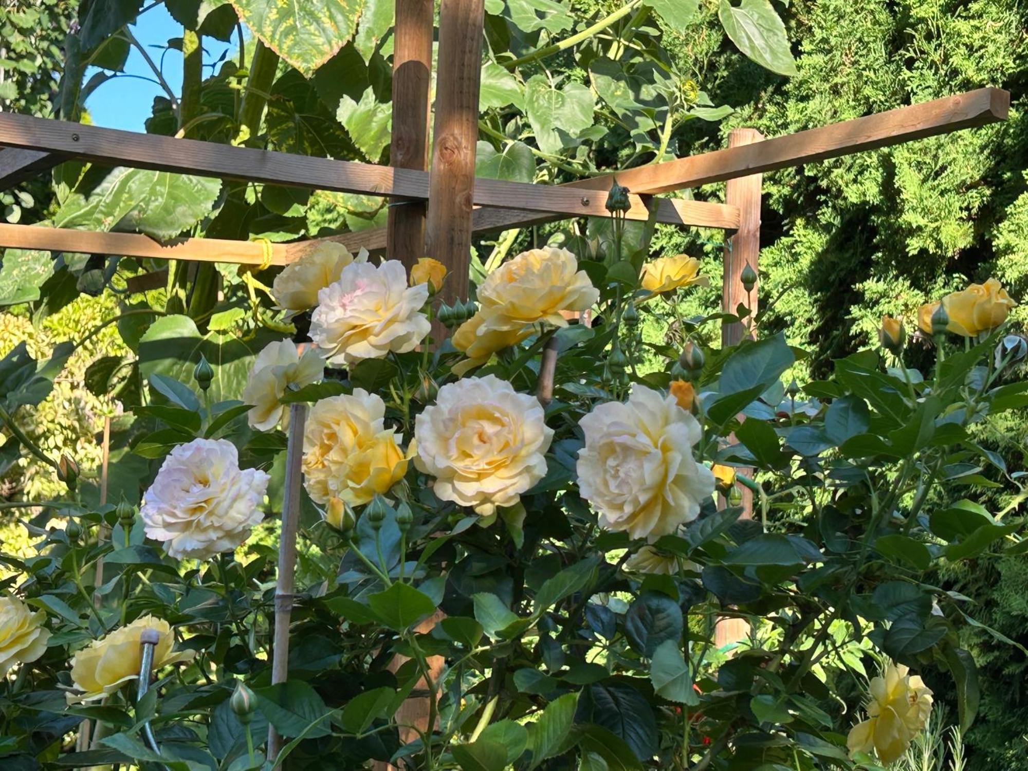 North Nanaimo Gem - Garden-View Room With Private Ensuite Ngoại thất bức ảnh